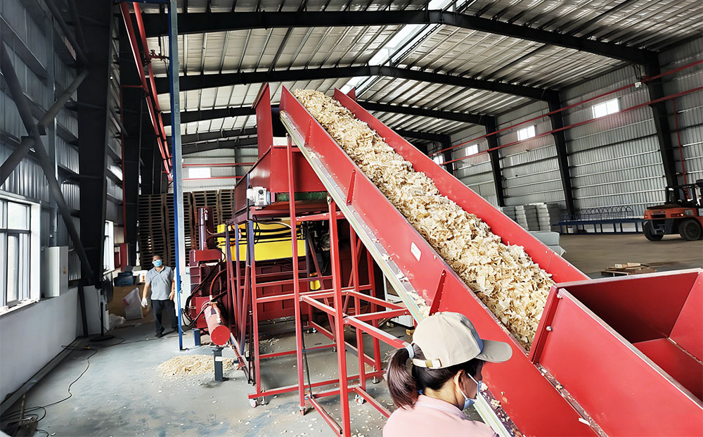 Wood Shaving Production Line with Bagging System خط إنتاج نشارة الخشب مع نظام التعبئة
